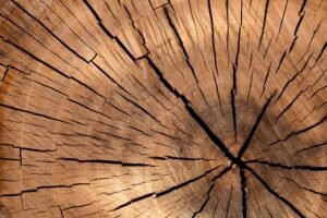 densidad de la madera clasificación