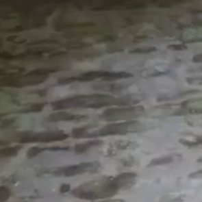 Humedad del Suelo en Casa Planta Baja ¿Qué Hacer? Humedad del Suelo en Casa Planta Baja ¿Qué Hacer?