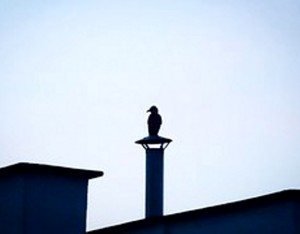 Altura tubo chimenea Altura tubo chimenea