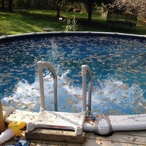 Recogehojas piscina mejor valorados del mercado Recogehojas Piscina Mejor Valorados del Mercado