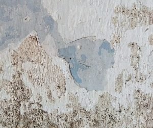 Humedad paredes Humedad del Suelo Casa Planta Baja ¿Qué Hacer?